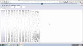 Using a Hex Editor [upl. by Droffats]