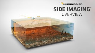 What is Side Imaging and How to Read It  Humminbird [upl. by Jaclin545]