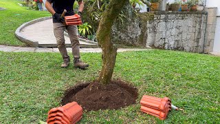 JARDIM RECICLADO Transforme o Lixo em Beleza 2 [upl. by Hooge]