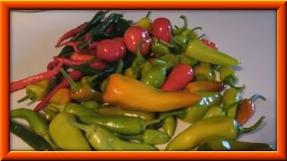 How To Make Hot Or Sweet Pepper Relish [upl. by Attiuqal312]