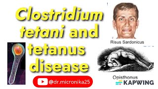 Clostridium tetani and tetanus disease I Tetanus toxin I Audio [upl. by Magee]