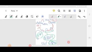 krebs cycle TCA cycle  Biochemistry [upl. by Barcellona772]