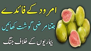 Guava Benefits in Urdu  Best Health Tips  Amrood Ke Faide [upl. by Eellac11]