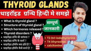 Thyroid gland anatomy amp physiology in Hindi  functions  structure  hormones  parathyroid [upl. by Aklog954]