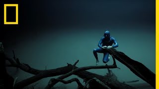 Experience the Underwater World Through the Eyes of a Free Diver  Short Film Showcase [upl. by Mari]