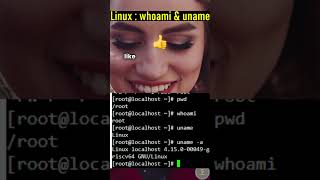 Linux whoami amp uname  Linux Unix shorts [upl. by Clausen740]