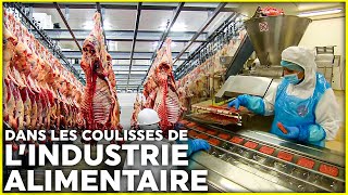 Alimentation industrielle  quy atil vraiment dans nos assiettes [upl. by Nawd]