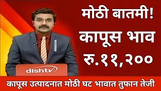 आजचे कापूस बाजार भाव भाव तुफान वाढले या जिल्ह्यात सर्वात जास्त भाव kapus bhav today  cotton rate [upl. by Dygall875]