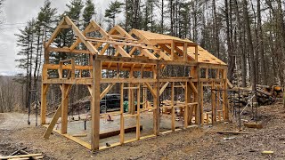 We Built a Timber Frame Home From Our Own Trees [upl. by Laetitia735]