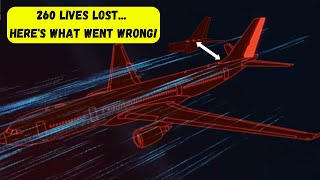 The Tragic Crash of American Airlines Flight 587 A Deep Dive Into the 2001 Aviation Disaster [upl. by Paley97]