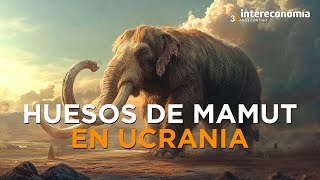 Explosión de hidroeléctrica revela huesos de mamut [upl. by Retep]