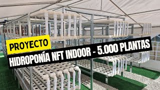 Proyecto de hidroponía interior NFT 5000 plantas 🌱💧 [upl. by Nnylarak]