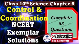 NCERT Exemplar Solutions  Control and Coordination Class 10  ScienceEdustation [upl. by Colley173]