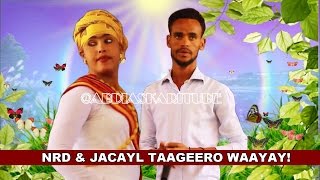 ALFANAAN NUURADIIN CABDI NRD  JACAYL TAAGEERO WAAYAY amp TALO ADKAATAY CALAACAL’  2017 HD LYRICS [upl. by Joceline]