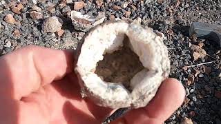 GEODES What they are how they form and more with geology professor Shawn Willsey [upl. by Buhler980]