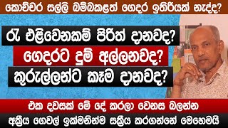 ගෙදරට කිරි ඉතිරෙන්න මේ දේ කරන්න  අක්‍රීය නිවාස සක්‍රීය කරගන්න හැටි  vastu tips  sinhala [upl. by Bauer17]