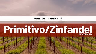 Grape Varieties PrimitivoZinfandel Advanced Version for WSET L3 andL4 [upl. by Ateerys]