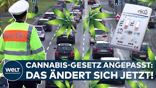 CANNABISGESETZ ANGEPASST Neuer THCGrenzwert im Straßenverkehr und Regeln für SocialClubs [upl. by Oidualc587]