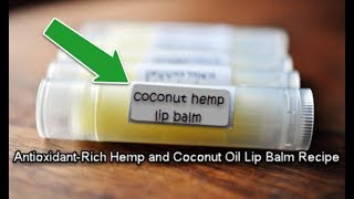 Antioxidant Rich Hemp and Coconut Oil Lip Balm Recipe [upl. by Ahseat]