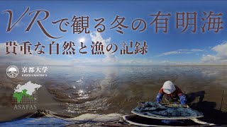 VRで観る冬の有明海 360° Nature and Life in the Ariake Sea  The Largest Tidal Wetland in Japan Winter [upl. by Billmyre250]