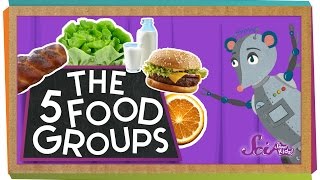 The 5 Fabulous Food Groups [upl. by Dahl752]