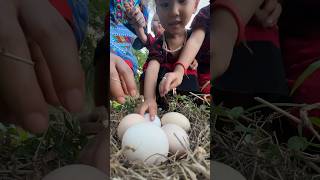 Single mom with boil chicken eggs skills camping singlemom outdoors bushcraft skills [upl. by Liggitt]