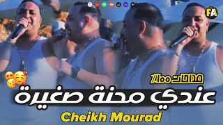 Cheikh Mourad  Andi Ma7na Sghira كونطرا على العرب   Avec Hamouda Maradon  Mehdahat 2024 [upl. by Filomena968]