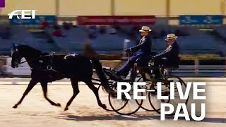 RELIVE  Dressage Day 1  Pau FRA  FEI Driving World Championship 2020 for Singles [upl. by Nareht]