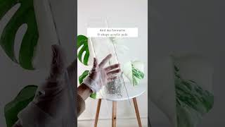 Pot a Monstera Albo Cutting with Me plantcare plantingtips plantgoals [upl. by Eirruc]