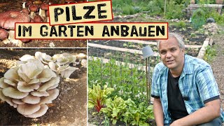 Pilze im Garten anbauen  Pilzbeet richtig anlegen und Jahrelang ernten  Braunkappen Austernpilze [upl. by Giesecke98]