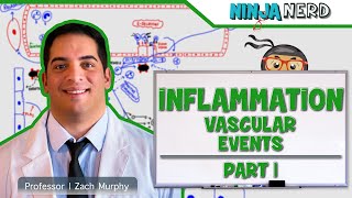 Immunology  Inflammation Vascular Events Part 1 [upl. by Birecree]