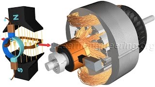 DC Motor How it works [upl. by Nnayram]