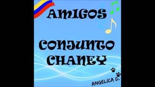 amigos conjunto chaney letra [upl. by Asilaj199]