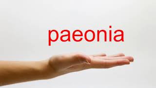 How to Pronounce paeonia  American English [upl. by Crane]