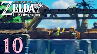 Zelda Links Awakening Blind  Part 10 Side Struggles [upl. by Durkin]