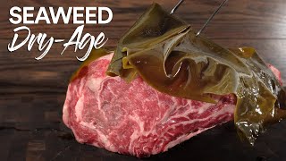 Lost at Sea METHOD of DryAgeing Beef Its INSANE [upl. by Otiv806]