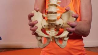 What is the SI Joint  Improving Sacroiliac Joint  MELT Method [upl. by Bathsheb271]