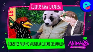 Curitas para tu cabeza consejos para no vulnerar el libre desarrollo  Animalxs no estamos locxs [upl. by Meit]