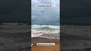 Candolim beach ⛱️🏖️🌧️🌧️❤️🫶travel ankushthakur1523 [upl. by Maon234]