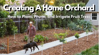 How to Plant Prune and Irrigate Fruit Trees EVERYTHING YOU NEED TO KNOW [upl. by Corwun183]