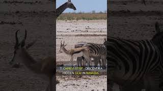 10 best places to visit in Namibia shorts namibia travel vacations destination africa [upl. by Carmita]