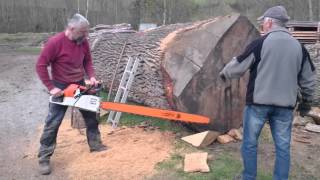 Stihl ms 880 150cm vs big oak log [upl. by Acissev]