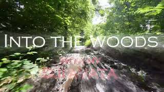 Into the woods with my DJI Avata 4K Hypnotic drone flight [upl. by Cadmarr]