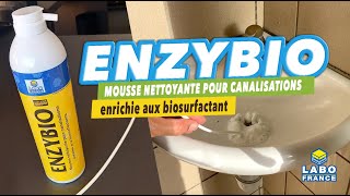 Nettoyer entretenir et désodoriser les canalisations avec la mousse ENZYBIO LABO FRANCE [upl. by Harimas]