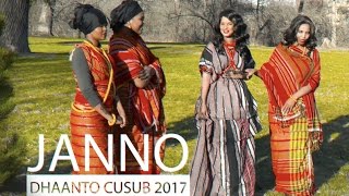 Dheman Ali Dhaanto cusub  Janno  2017 official video [upl. by Ellata479]