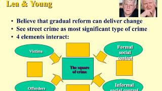 Left realist view of crime and deviance [upl. by Chen]