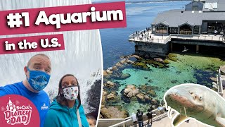 Monterey Bay Aquarium FULL TOUR  Is it the BEST Aquarium in the US [upl. by Rona]