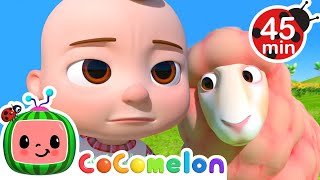 Baa Baa Pink Sheep 🐑  Cocomelon 🍉  Kids Learning Songs  Sing Along Nursery Rhymes 🎶 [upl. by Ynottirb]