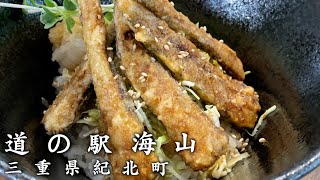 【三重特産】グルメ必見！揚げたてさんまをパンにサンド！美味しいサンドや美味しい特産物が取り揃う”道の駅海山” [upl. by Annadiana]