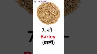 Pulses amp Grains Name Hindi and English 🌽🍚 Cereals and Pulses  Learn English daily grains english [upl. by Akissej]